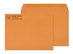 10 x 13 brown booklet envelopes from business envelopes