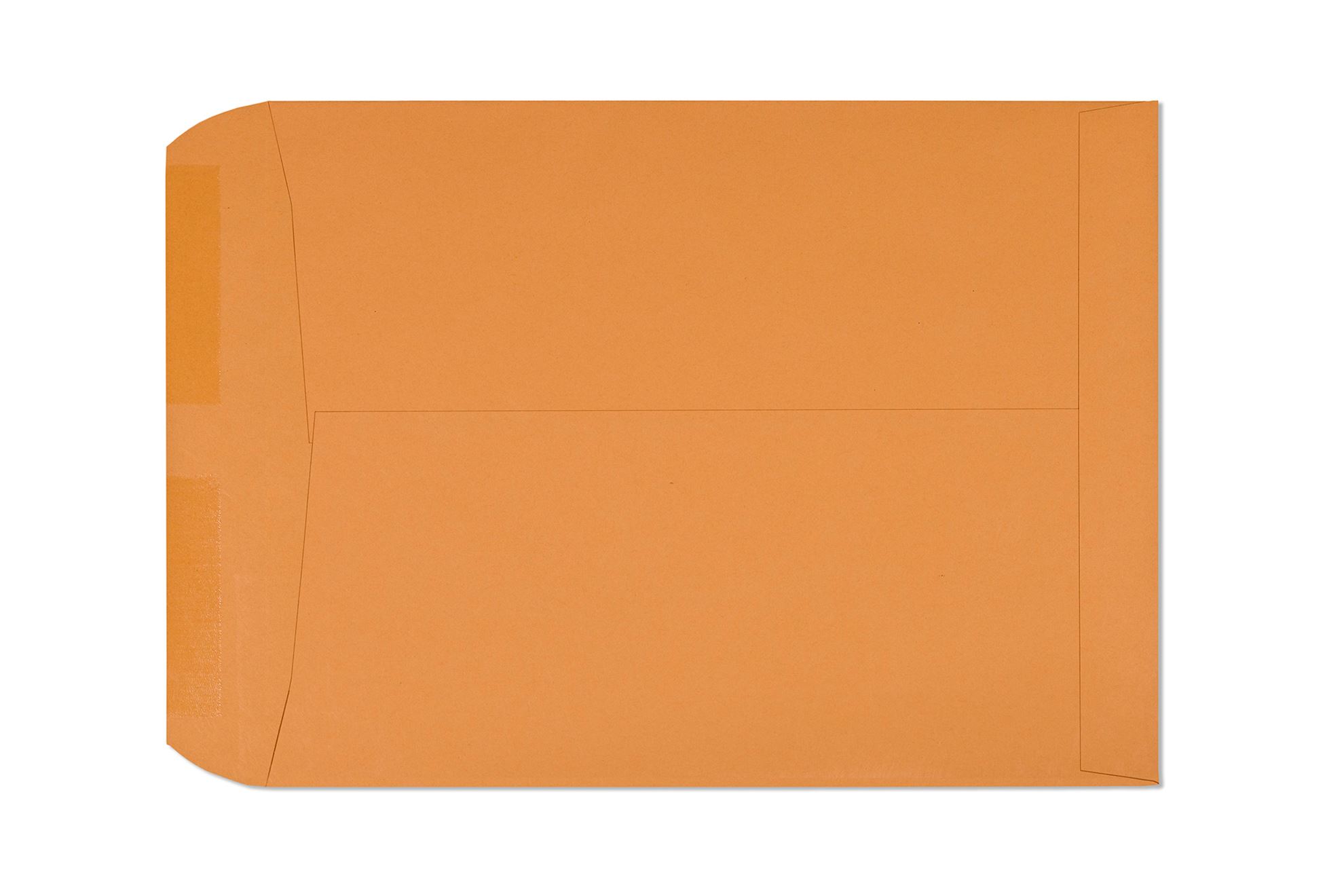 10x13 Catalog Envelopes (Open end)