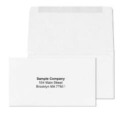 6 3/4 White Remittance Envelopes with printed logo	