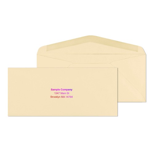 #9 lory wove envelopes with colored logo	