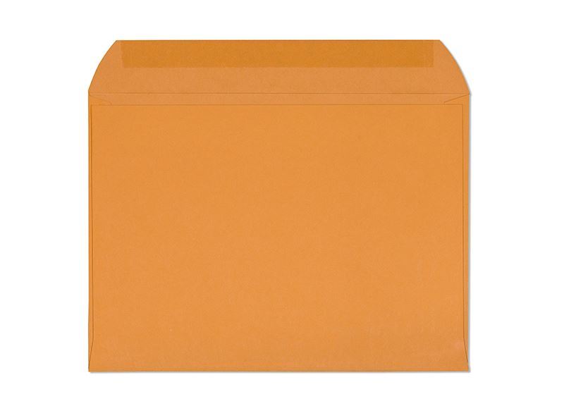 Custom Printed 9 x 12 Booklet Envelopes: Secure and Durable