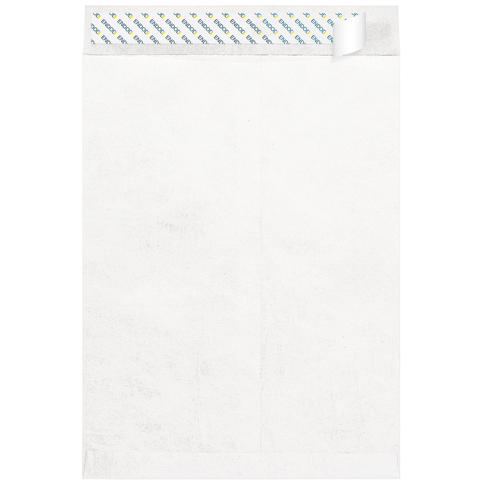 0025620_9x12-tyvek-envelopes-
