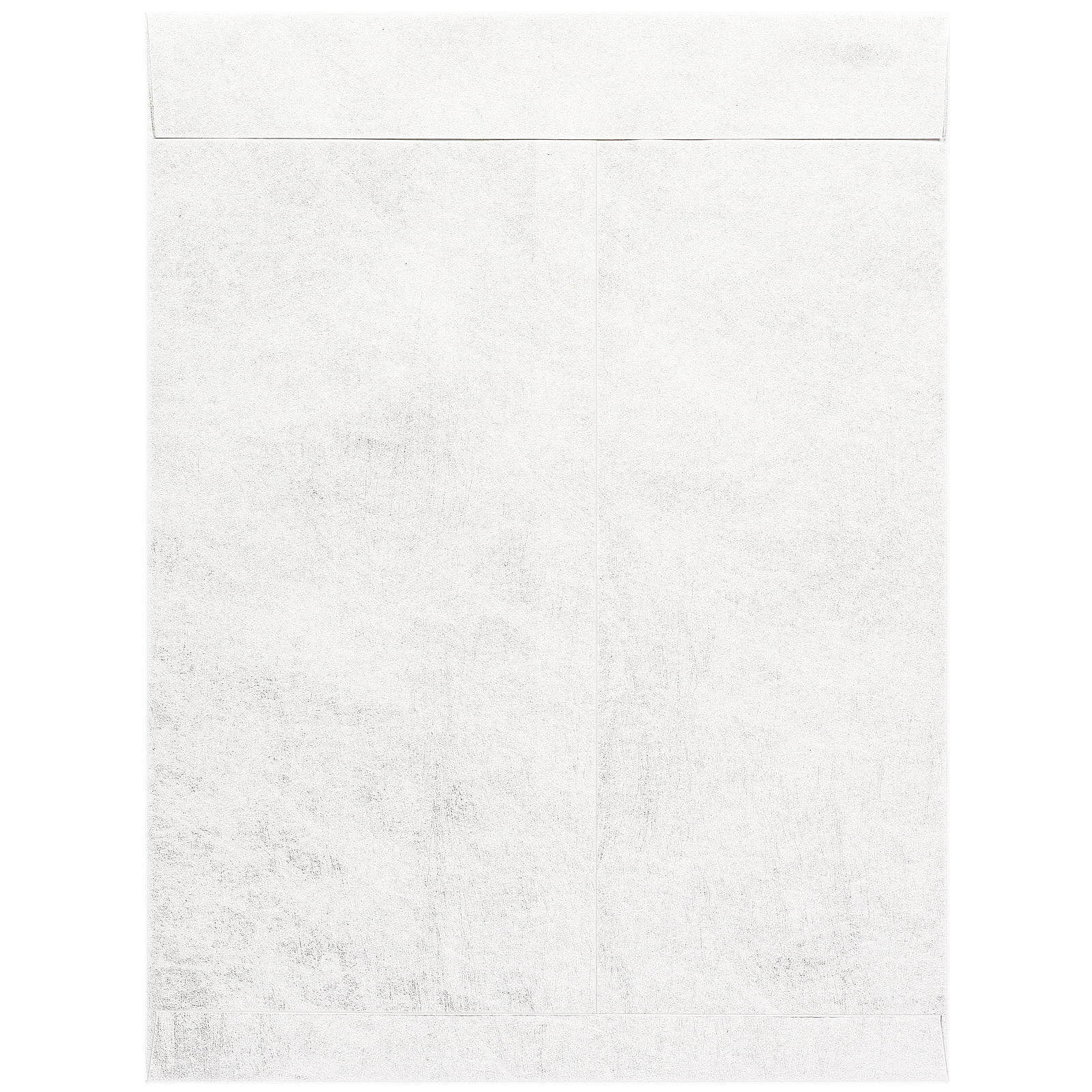 0025622_9-x-12-tyvek-envelopes