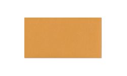 Picture of 4 5/8 x 6 3/4 Brown Open End Peel & Seal Envelopes 
