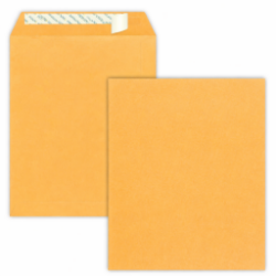 	6x9 brown kraft envelopes peal & seal	