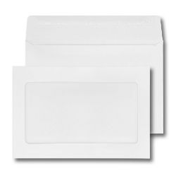 6x9 white showcase envelope